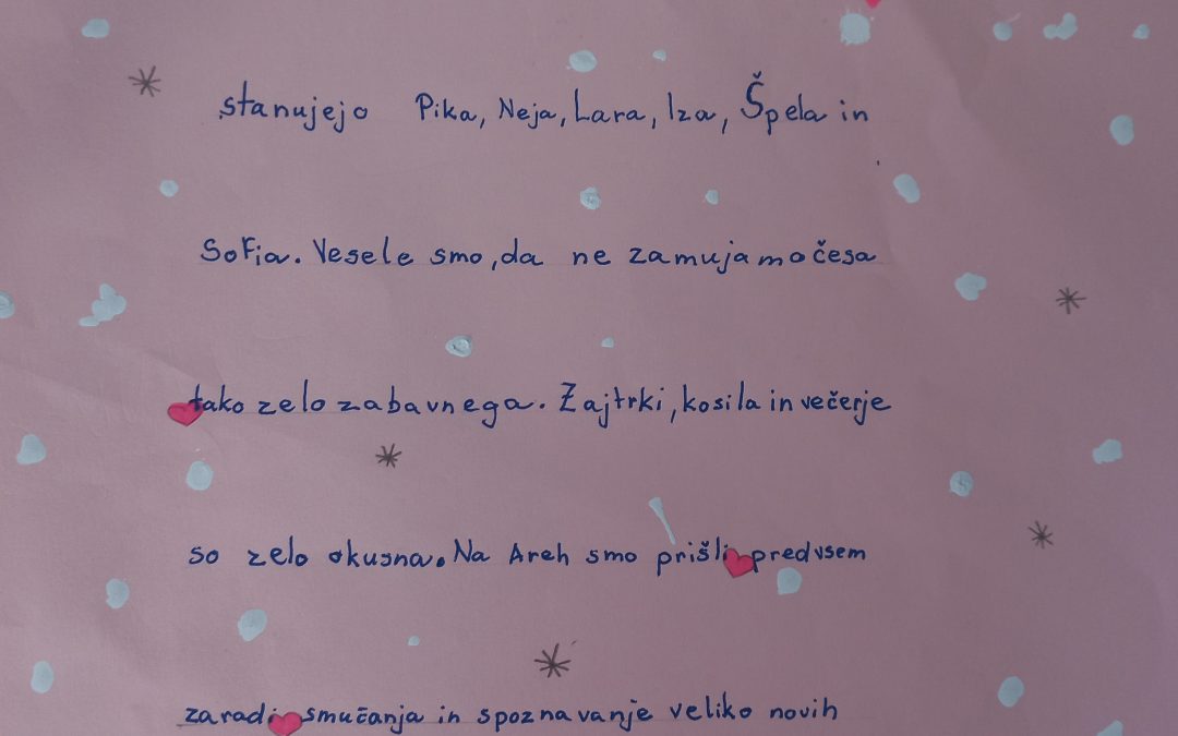 ZŠVN – vtisi