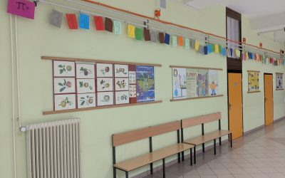 DAN ŠTEVILA PI