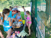 IMG_20240618_110026