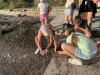 IMG-02cde1076843bdf237d1f13a4bcdd11f-V