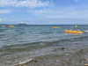 IMG-31976805a720fd7ea333519d426ccc57-V