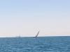 IMG-3e575b70b7e250f88ce76249b8432f8c-V