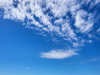 IMG-40ff06ce05d2fd7d27261cdb16dd478d-V