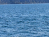 IMG-4f24b7c4a1f5ed0bfa16354b649fc66b-V