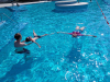 IMG-d8eb737ccc2219c18825dcaa632c99ed-V