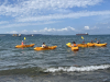 IMG-dd454d320d27bc6d83232a71cb47318c-V