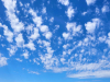IMG-e3fb7f58e70e1996b561e7b78eb8fffc-V