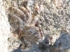 IMG-e7deadfded63dcad30044f2647722e4f-V