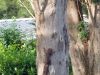 IMG-e81e5b8bd02cd37d78c22f7ee7fbef00-V
