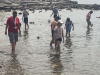 IMG-1cb845f24ec5f584a0e90474b7712055-V