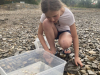 IMG-279979e5bb3d69f58fe70304a24eca29-V