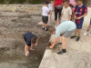 IMG-312bfba3698e034d44f2360acb4ee489-V