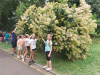 IMG-58ece2f22dc20cf9b309620b197dbab2-V