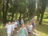 IMG-8fd4c8641bc03c4140e0f5c459b8a324-V