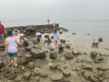 IMG-b8851bb9d3f072429c9775162b87aeae-V