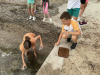 IMG-d2f6cb22999de87130cc9118f51c7eb9-V