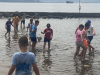IMG-d923d57cb3efa9a60c7bbaddba779f0b-V
