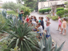 IMG-d948cccad670e221c25ef812614cc6ba-V