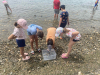 IMG-ffcac1bfaf2dc65641d40e0562ed0263-V